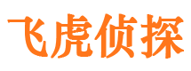 城东侦探公司